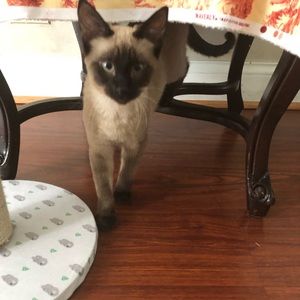 Meet your Posher, Alejandra